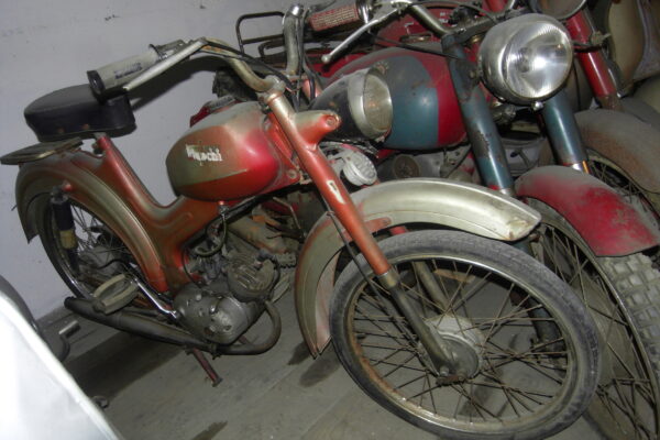 Bianchi Falco 50