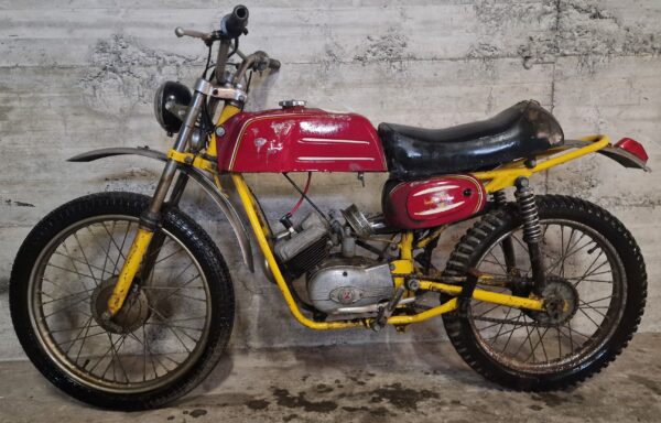 Cimatti Kaiman 50