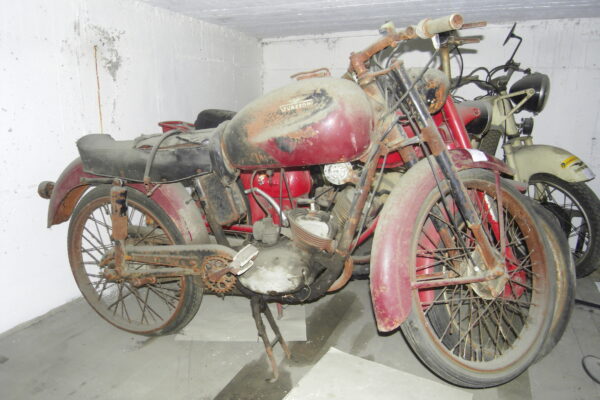 Guazzoni Guazzoncino Sport 50