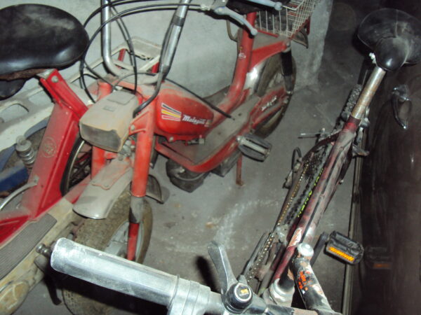 Malaguti Motorik 50