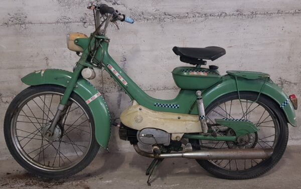 Motom Daina 49